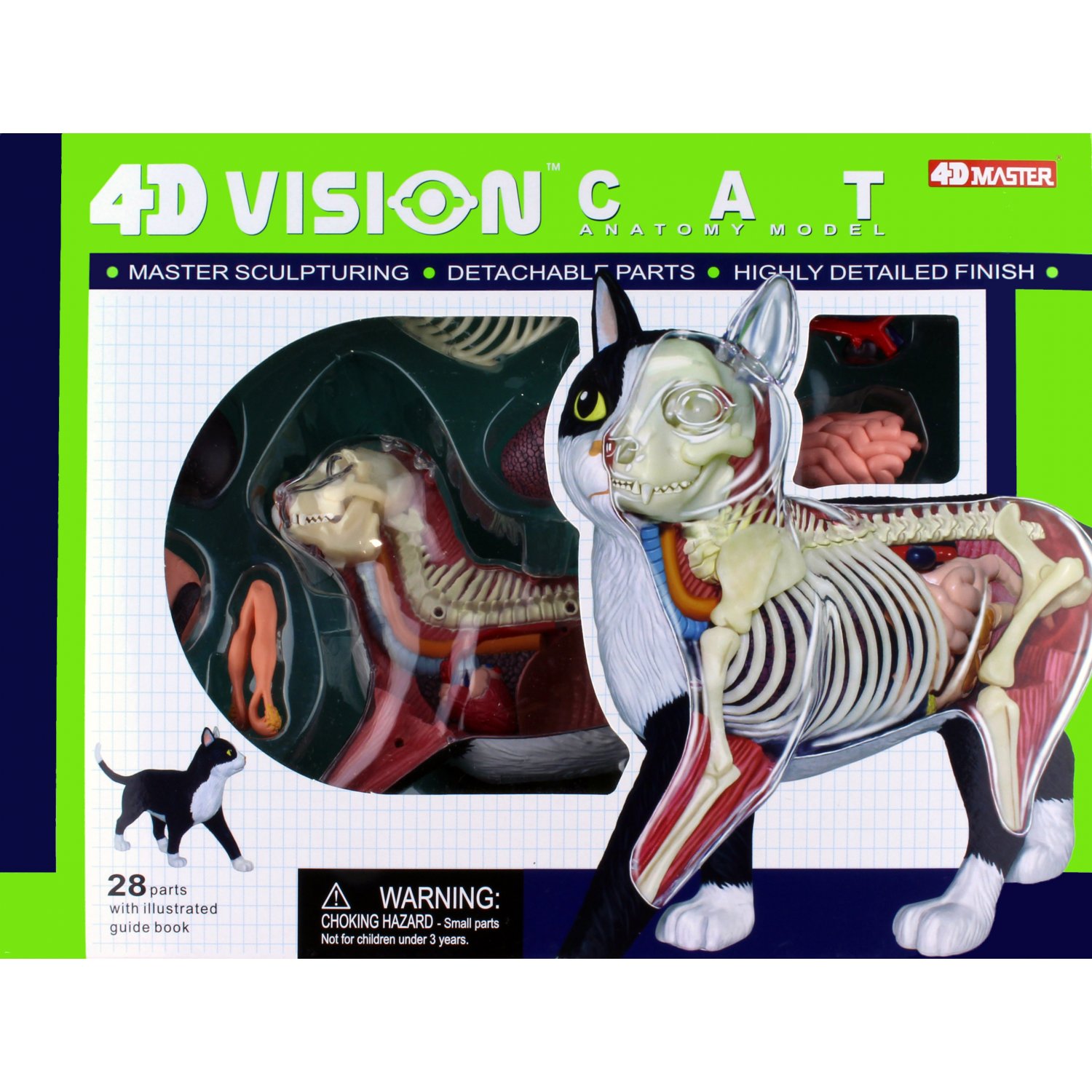 4D VISION 動物解剖模型黑白貓- AHA SHOP