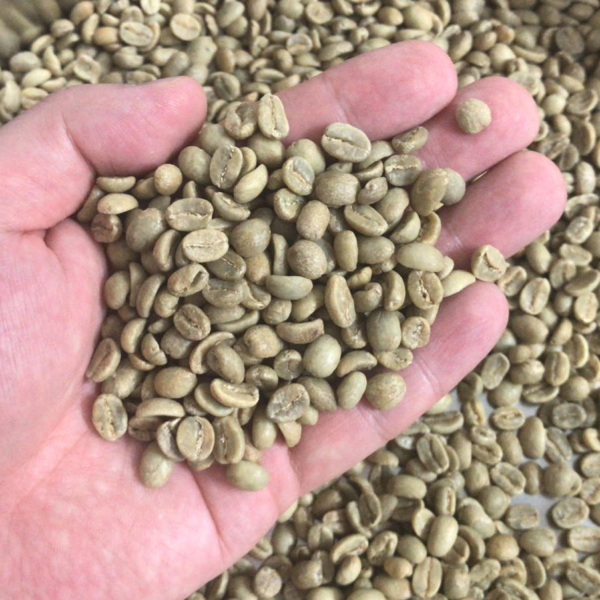 Fresh Roasted Coffee Bean 鮮烘咖啡豆 - Image 2